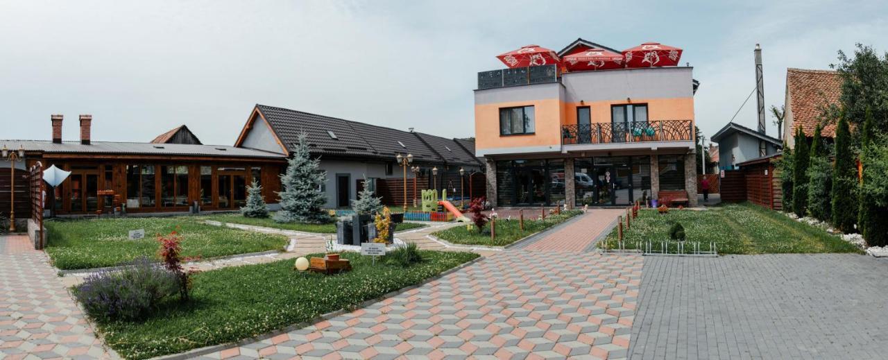 Pensiune Confort Morosanu Sinca Veche Exterior foto